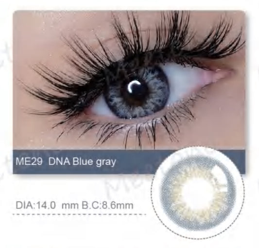 ME29 DNA Blue Gray