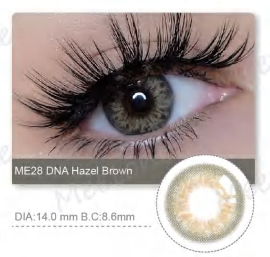 ME28 DNA Hazel Brown