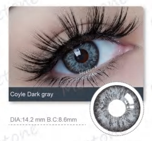 Coyle Dark Gray